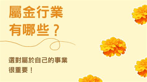 屬金 行業|屬金的行業有哪些？